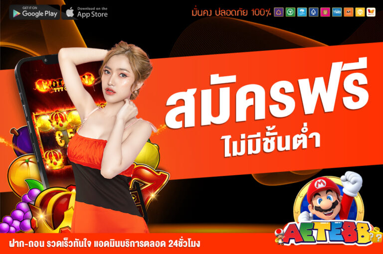 นโยบายส่วนตัว AETE88